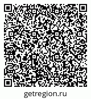 79066420288