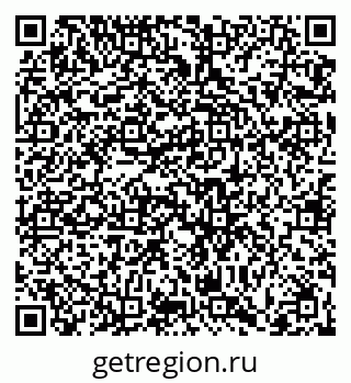 79066420295