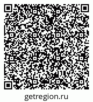 79066428981