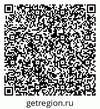 79066430753