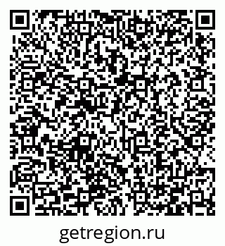 79066431904