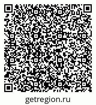 79066500041