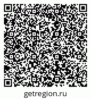 79066500061