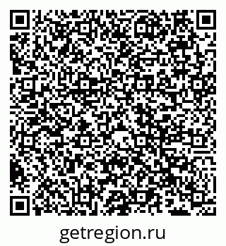 79066500288