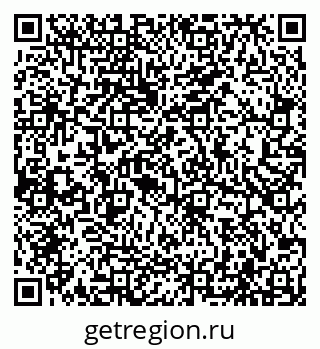 79066500381