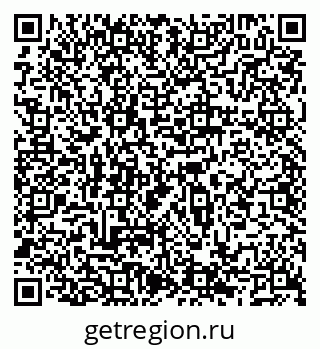 79066500393