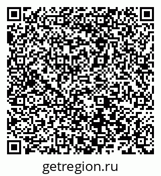 79066500411