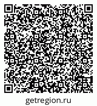 79066511904