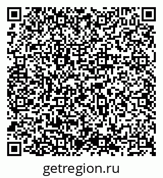 79066516393