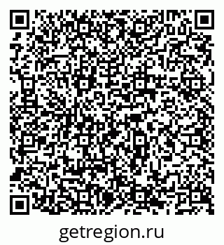 79066519204