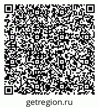79066520204