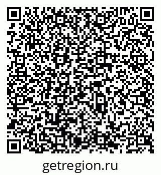 79066527204
