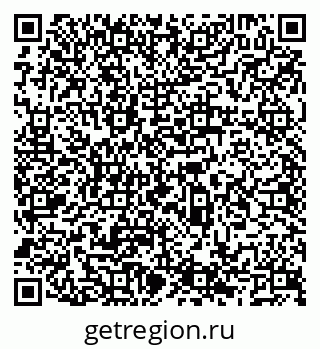 79066527981