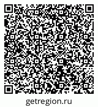 79066528081