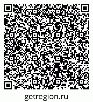 79066528204