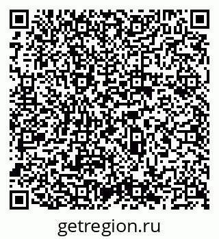 79066528206