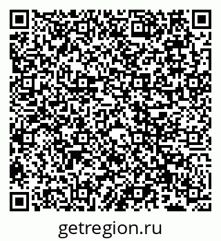 79066528241
