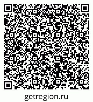 79066528411