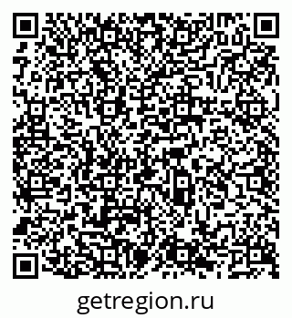 79066529595