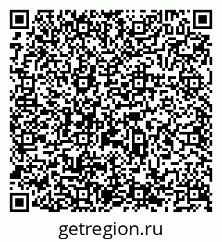 79066529808