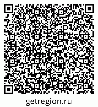 79066530384