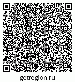 79066530658