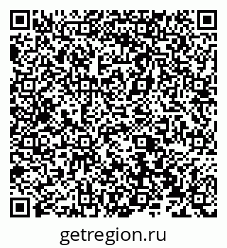 79066532808