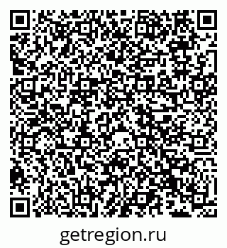 79066533858