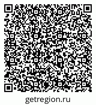 79066535343
