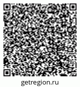 79066535381