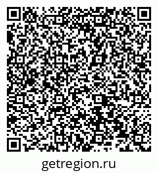 79066538081