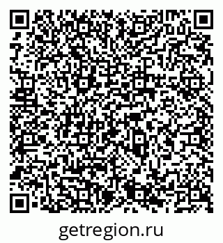 79066538204