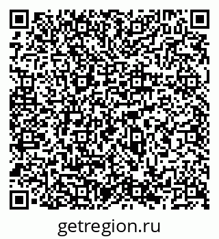 79066538233