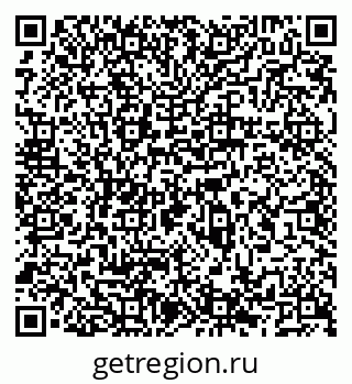 79066538293