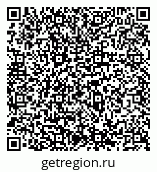 79066538411