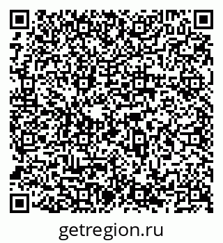 79066538804