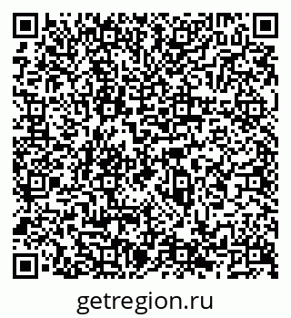 79066539300