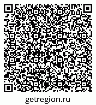 79066539384