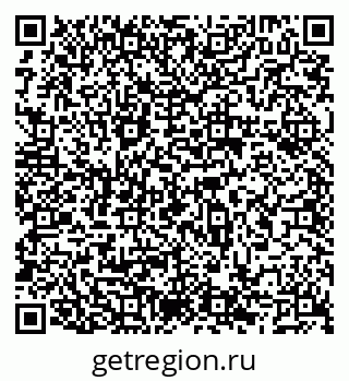 79066540206