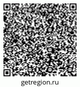 79066541381
