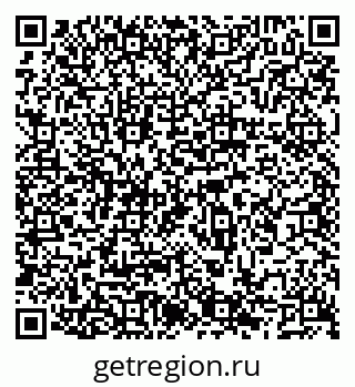 79066541772
