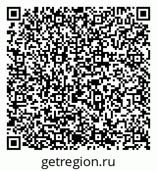 79066541955