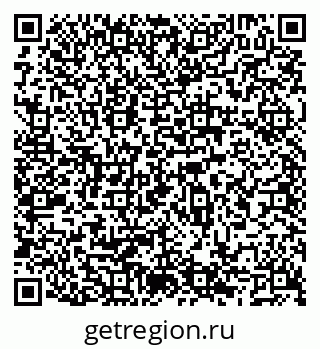 79066542024