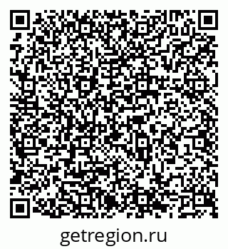 79066543995