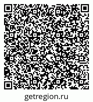 79066555041