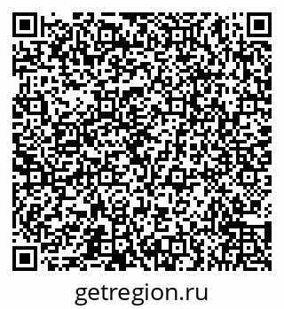 79066555981