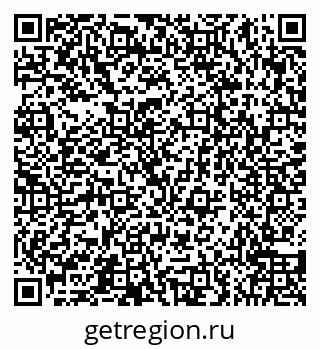 79066558261