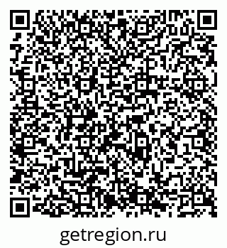 79066558295