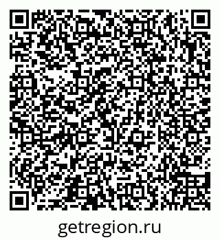 79066558355