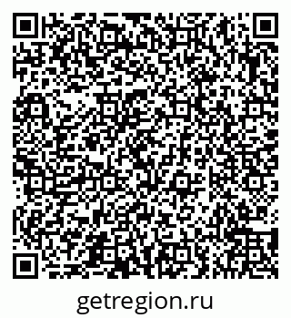79066559384